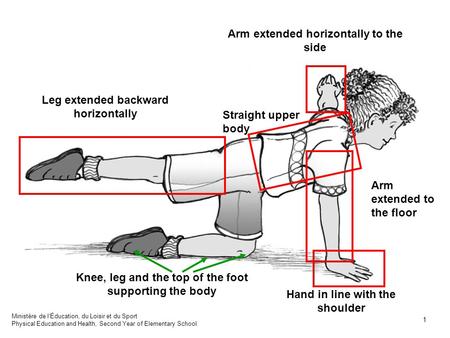 Straight upper body Arm extended to the floor Knee, leg and the top of the foot supporting the body Arm extended horizontally to the side Hand in line.
