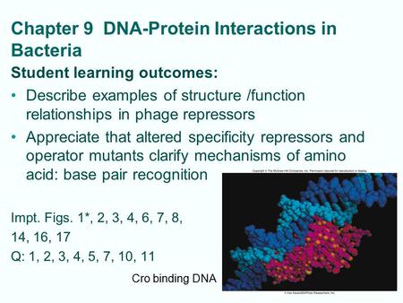 9-1 Chapter 9 DNA-Protein Interactions in Bacteria Student learning outcomes: Describe examples of structure /function relationships in phage repressors.
