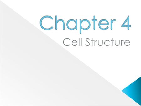 Chapter 4 Cell Structure.