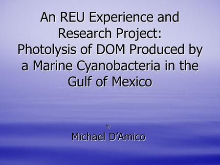 An REU Experience and Research Project: Photolysis of DOM Produced by a Marine Cyanobacteria in the Gulf of Mexico by Michael D’Amico.