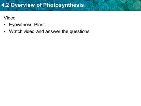 Video Eyewitness Plant Watch video and answer the questions.