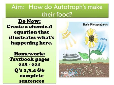 Aim: How do Autotroph's make their food? Do Now: Create a chemical equation that illustrates what's happening here. Homework: Textbook pages 218 - 221.