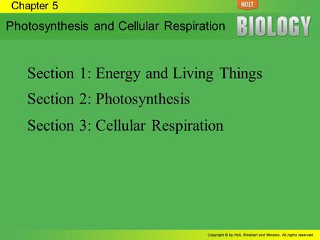 Section 1: Energy and Living Things