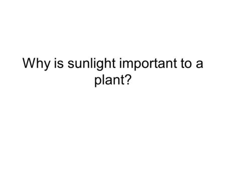Why is sunlight important to a plant?. Without gas exchange, the plant would be unable to ____?