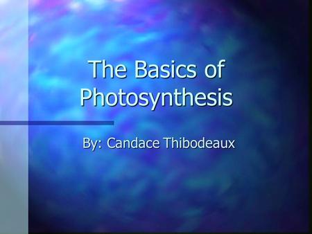 The Basics of Photosynthesis By: Candace Thibodeaux.