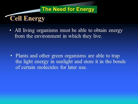 Cell Energy All living organisms must be able to obtain energy from the environment in which they live. Plants and other green organisms are able to trap.