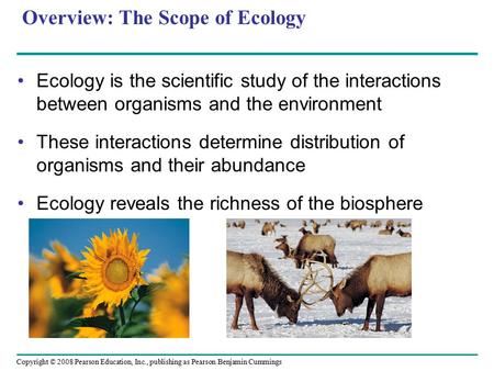 Copyright © 2008 Pearson Education, Inc., publishing as Pearson Benjamin Cummings Overview: The Scope of Ecology Ecology is the scientific study of the.