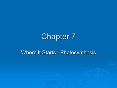 Where It Starts - Photosynthesis