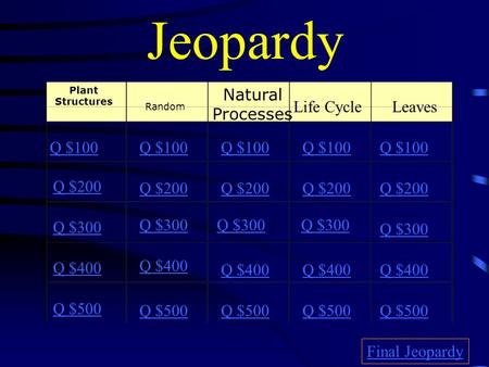 Jeopardy Plant Structures Random Life CycleLeaves Q $100 Q $200 Q $300 Q $400 Q $500 Q $100 Q $200 Q $300 Q $400 Q $500 Final Jeopardy Natural Processes.