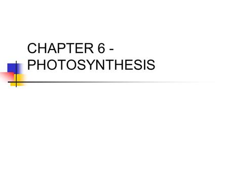 CHAPTER 6 - PHOTOSYNTHESIS