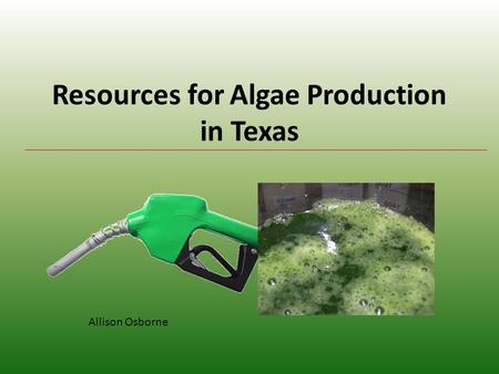 Resources for Algae Production in Texas Allison Osborne.