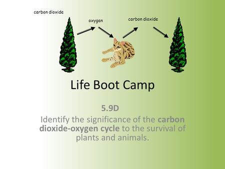 carbon dioxide oxygen Life Boot Camp 5.9D