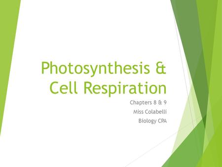 Photosynthesis & Cell Respiration