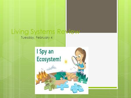 Living Systems Review Tuesday, February 4.