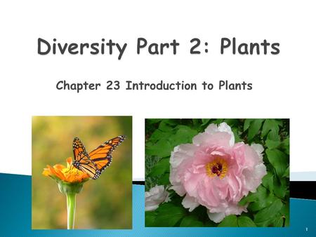 Diversity Part 2: Plants