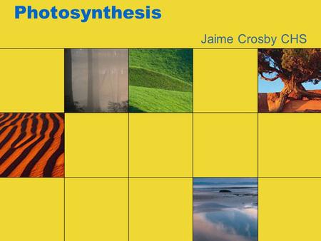 Photosynthesis Jaime Crosby CHS. Photosynthesis: Trapping the Sun’s Energy.
