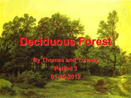 Deciduous Forest By Thomas and Tommy Period 3 01-15-2012.