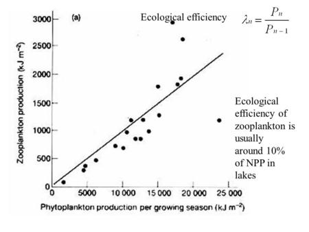 Ecological efficiency of zooplankton is usually around 10% of NPP in lakes Ecological efficiency.