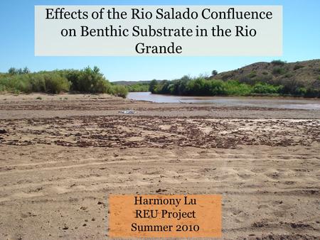 Effects of the Rio Salado Confluence on Benthic Substrate in the Rio Grande Harmony Lu REU Project Summer 2010.