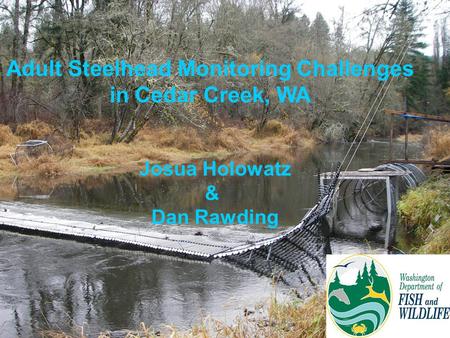 Adult Steelhead Monitoring Challenges in Cedar Creek, WA Josua Holowatz & Dan Rawding.