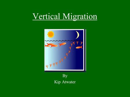Vertical Migration By Kip Atwater. What is it? Vertical migration refers to a pattern of movement that some organisms undertake involving traveling to.