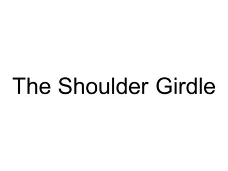 The Shoulder Girdle.