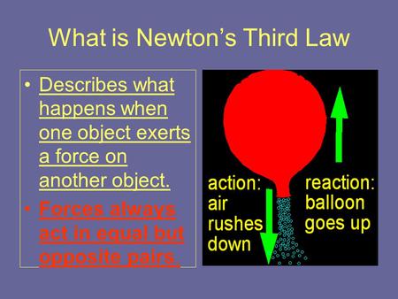 What is Newton’s Third Law