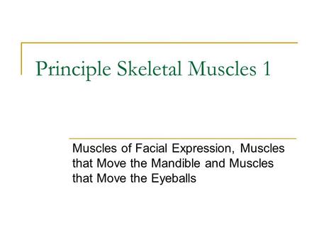 Principle Skeletal Muscles 1