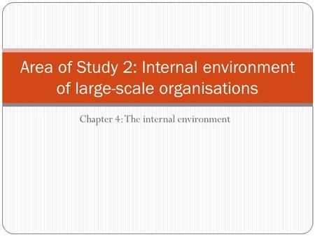 Chapter 4: The internal environment Area of Study 2: Internal environment of large-scale organisations.