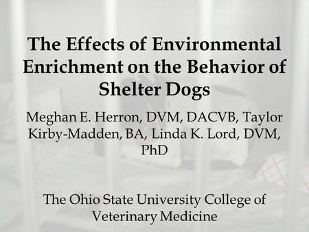 The Effects of Environmental Enrichment on the Behavior of Shelter Dogs Meghan E. Herron, DVM, DACVB, Taylor Kirby-Madden, BA, Linda K. Lord, DVM, PhD.