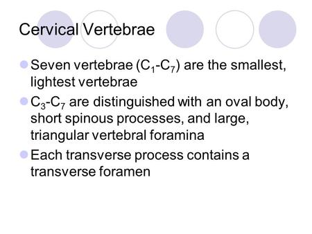 Cervical Vertebrae Seven vertebrae (C1-C7) are the smallest, lightest vertebrae C3-C7 are distinguished with an oval body, short spinous processes, and.