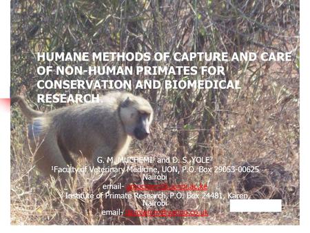 HUMANE METHODS OF CAPTURE AND CARE OF NON-HUMAN PRIMATES FOR CONSERVATION AND BIOMEDICAL RESEARCH. G. M. MUCHEMI 1 and D. S. YOLE 2 1 Faculty of Veterinary.