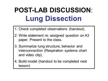 POST-LAB DISCUSSION: Lung Dissection 1.Check completed observations (handout). 2.Write statement re: assigned question on A3 paper. Present to the class.