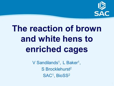 1 The reaction of brown and white hens to enriched cages V Sandilands 1, L Baker 1, S Brocklehurst 2 SAC 1, BioSS 2.