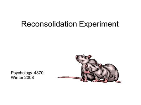 Reconsolidation Experiment Psychology 4870 Winter 2008.