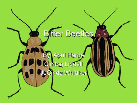 By: April Harpe Clinton Liddell JeCinda Whittker Bitter Beetles.