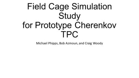 Field Cage Simulation Study for Prototype Cherenkov TPC Michael Phipps, Bob Azmoun, and Craig Woody.