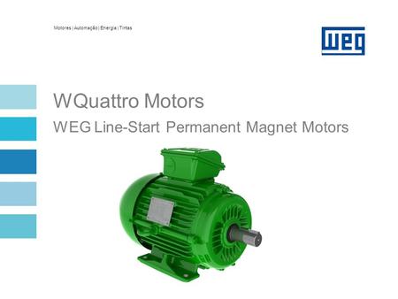 Overview Hybrid motor: induction + permanent magnet + reluctance