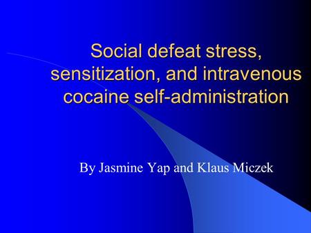 Social defeat stress, sensitization, and intravenous cocaine self-administration By Jasmine Yap and Klaus Miczek.