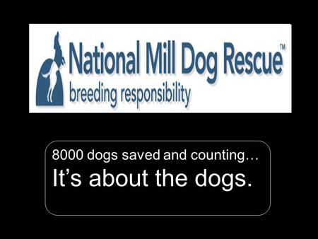N ational M ill D og R escue 1 8000 dogs saved and counting… It’s about the dogs.