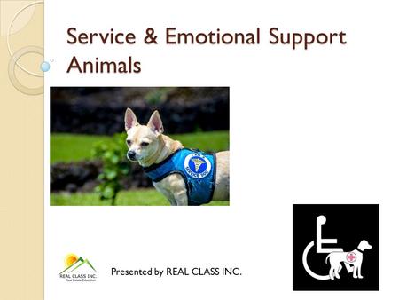 Service & Emotional Support Animals