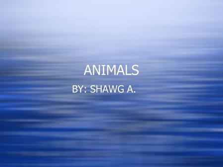 ANIMALS BY: SHAWG A.. TURTLES  Turtles are slow and they usually live at the beach they lay an eggs a lot of eggs then it leave it children to grow up.