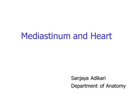 Mediastinum and Heart Sanjaya Adikari Department of Anatomy.
