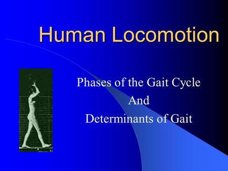 Phases of the Gait Cycle And Determinants of Gait