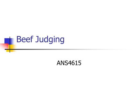 Beef Judging ANS4615. Beef Judging Key to beef judging requires accurate grading skills Successful evaluation of quality and yield grading is essential.