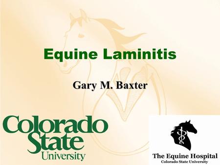 Equine Laminitis Gary M. Baxter. Definitions Inflammation of the laminaeInflammation of the laminae –Numerous inciting causes –Laminitis vs. “founder”