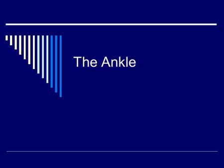 The Ankle. ANATOMY OF THE ANKLE Range of Motion/Strength Test  Inversion  Eversion  Plantar Flexion  Dorsiflexion.