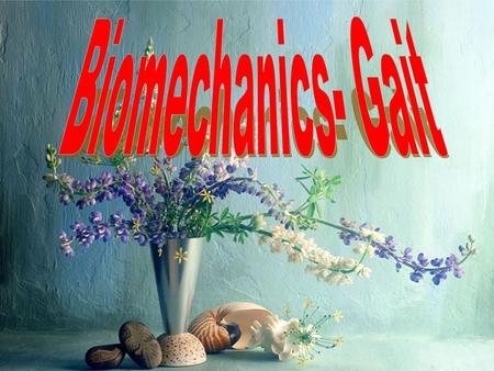 Biomechanics- Gait.