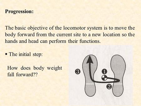 Progression: The basic objective of the locomotor system is to move the body forward from the current site to a new location so the hands and head can.