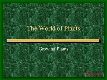 The World of Plants Growing Plants G Davidson. Structure of a seed In order to reproduce, flowering plants produce seeds. Seeds contain nearly everything.
